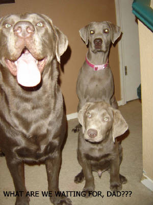 1apup.jpg