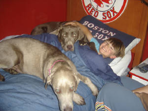 dogsinbed2.jpg