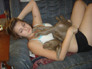 megpup.jpg