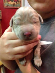 newborn.jpg