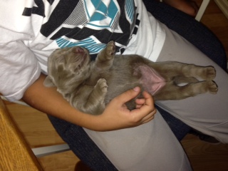 1weekold2.jpg