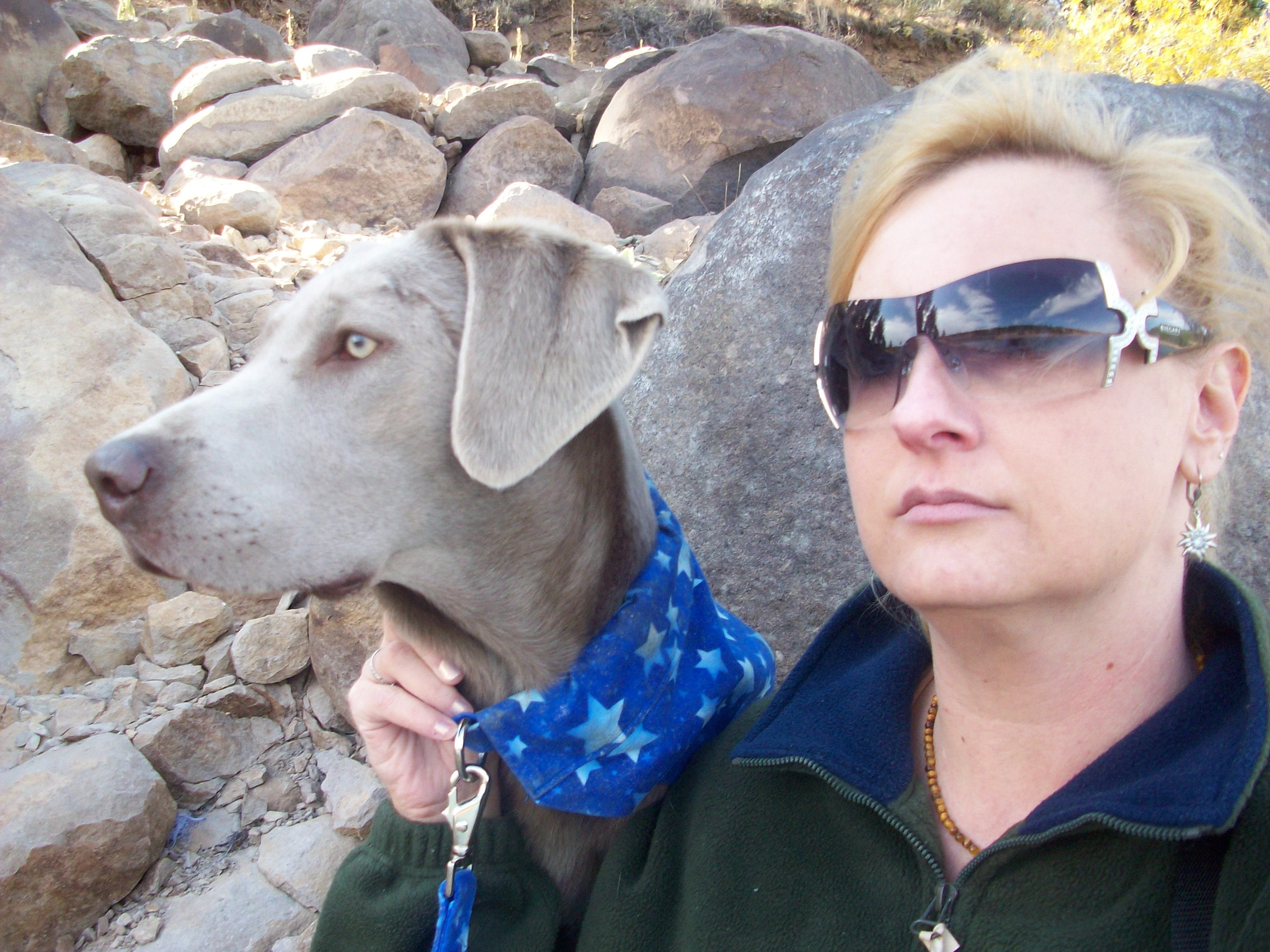 mydogs4.jpg